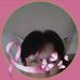 Imelda Lara - Facebook