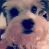 Imelda Limon - @imelda.limon - TikTok