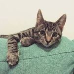 imelda lowe - @lowe2762oy - Instagram