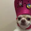 imeldaloza285 - @imeldaloza285 - TikTok