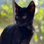 Imelda Luna - @imelda_luna_cat - Instagram