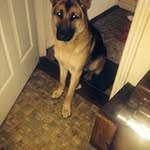 Imelda Maher - @imelda.maher - Instagram