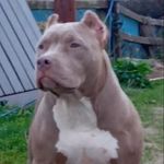 @imelda_mayhem - Instagram