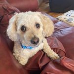 Imelda-Annie Mayer - @imelda_annie_mayer - Instagram