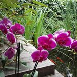 Imelda Lynette Mayer_Taylor - @imeldalmayer - Instagram