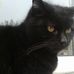 Imelda McCormack - Facebook