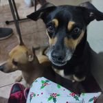 Imelda Molina - @imelda.molina.35 - Instagram