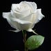 Imelda Mora - Facebook