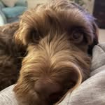 Imelda Moran - @imeldamoran1 - Instagram