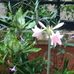 Imelda Sison - Facebook