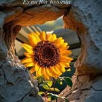 Imelda Soto - @imelda.soto.522 - Instagram