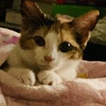 Imelda Vallejo - @_i_mel_da - Instagram