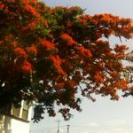 Imelda Vallejo Avila - @imeldavallejoavila - Instagram