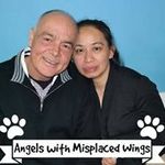 Imelda Romero Young - @imeldaromeroyoung - Instagram