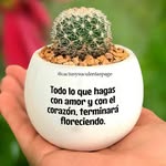 Imer Lopez - @imerlopez61 - Instagram