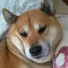 Imma Capasso - @imma.capasso0 - TikTok