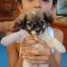 Immanuel Tan - Facebook