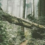 @_imogen_anderson_ - Instagram
