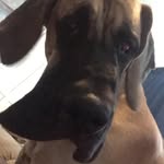 Imogen Bradley - @_immys_spam_ - Instagram