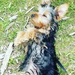 Imogen Brown - @imogen.brown.9279 - Instagram