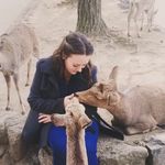 Imogen Casey - @casuallyeatingpancakes - Instagram