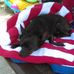 Imogene Fowler - Facebook