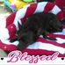 Imogene Fowler - Facebook