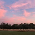 Imogen Griffin - Facebook