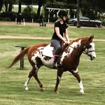 Imogen Harris - @immyequestrian_ - Instagram