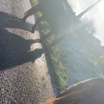 Imogen Heap - @imogenheap1 - Instagram