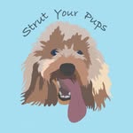 Imogen Howard - @strutyourpups_swansea - Instagram