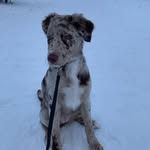 imogen hubbard - @my_opie - Instagram