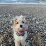 Imogen Hubbard - Facebook