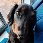 imogen hubbard - @imogen.hubbard - Instagram