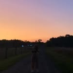 𝐼𝑚𝑜𝑔𝑒𝑛 ☀︎︎ - @imogenkelly._ - Instagram