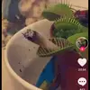 imogenkennedy748 - @imogenkennedy748 - TikTok