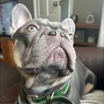 Imogen Lane - Facebook