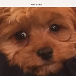 Imogen McDonald - @imogen_mcdonald29565656 - Instagram
