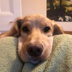 Imogen Nelson - Facebook
