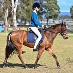 Imogen patterson 🇦🇺 - @equestrian.immy_ - Instagram
