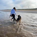 Imogen Phillips - @imogensdogwalking - Instagram