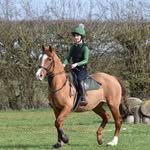 Imogen Russell-Blunt - @immie_rb_equestrian - Instagram