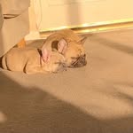 @imogen_wilson2007 - Instagram