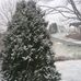 Imogene Boone - Facebook
