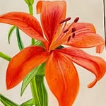 Imogen Carr - @imogencarrart - Instagram