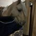 Imogen Cooper - Facebook