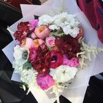 @imogene_ford961 - Instagram