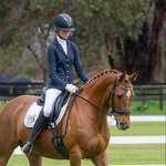 Imogen Freeman - @imogen_equine_life - Instagram