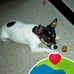 Imogene Hall - Facebook