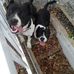 Imogene Harrell - Facebook